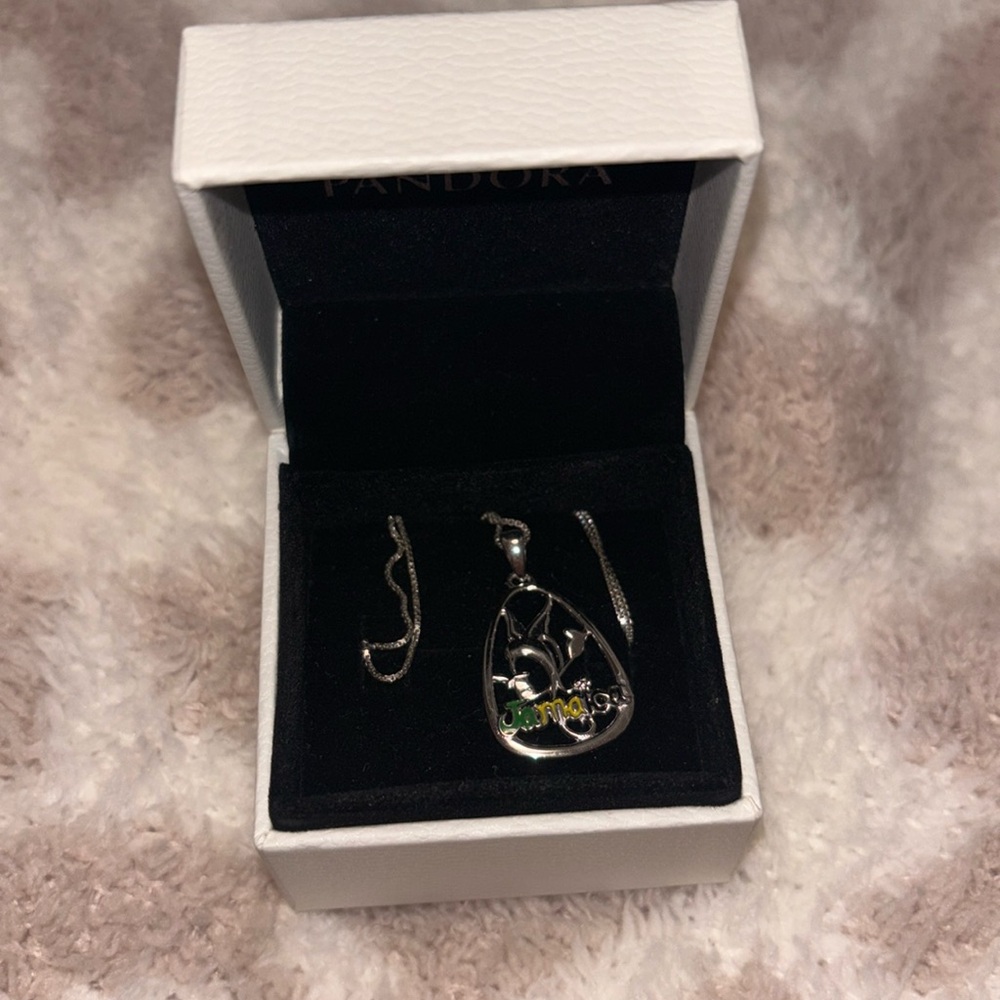 brand new silver jamaica pandora necklace